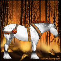 Horse Color:Gray Black Tobiano Appaloosa 