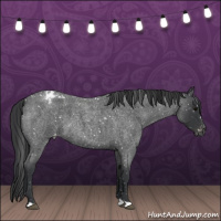 Horse Color:Blue Roan Snowflake Varnish