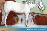Horse Color:Gray Red Dun Tobiano Frame 
