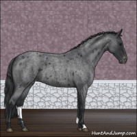 Horse Color:Blue Roan Varnish 