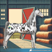 Horse Color:Liver Chestnut Mushroom Appaloosa 