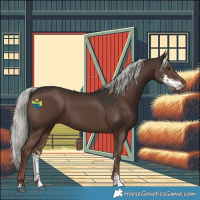 Horse Color:Liver Chestnut Mushroom Sabino