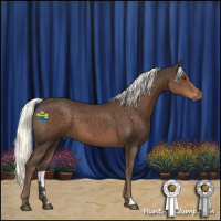 Horse Color:Liver Chestnut Mushroom 