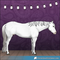 Horse Color:Blue Roan Snowflake Varnish 
