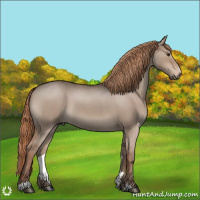 Horse Color:Liver Red Dun Roan Sabino 