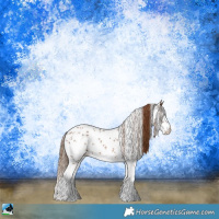 Horse Color:Chestnut Sabino Rabicano 
