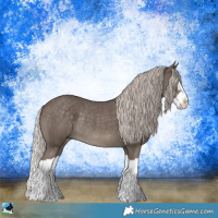 Horse Color:Silver Black Splash Rabicano 