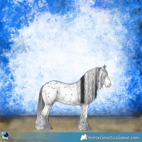 Horse Color:Black Sabino Rabicano 