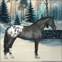 Horse Color:Blue Roan Snowflake Varnish 
