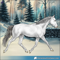 Horse Color:White Spotted Blue Roan Appaloosa 