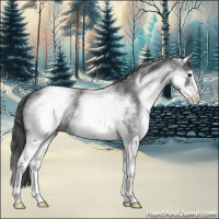 Horse Color:White Spotted Blue Roan Varnish 