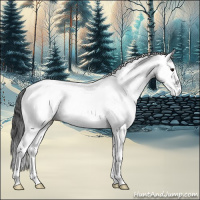 Horse Color:White Spotted Blue Roan Appaloosa 