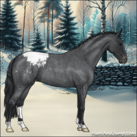 Horse Color:Blue Roan Varnish 