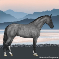 Horse Color:Blue Roan 