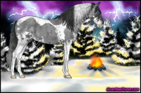 Horse Color:Blue Roan Splash Tobiano 