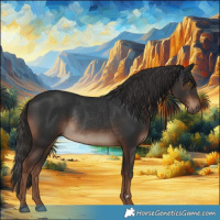 Horse Color:Liver Chestnut Rabicano 
