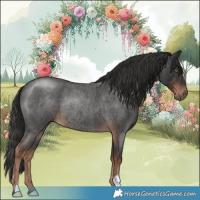 Horse Color:Liver Red Roan Rabicano 