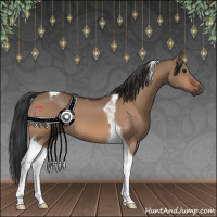 Horse Color:Bay Dun Tobiano