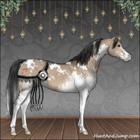 Horse Color:White Spotted Brown Dun 