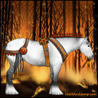 Horse Color:Gray Black Appaloosa 