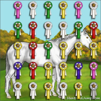 Horse Color:Gray Sable Champagne Tobiano Rabicano