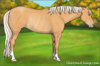Horse Color:Silver Sable Cream Champagne Rabicano 