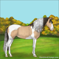 Horse Color:Amber Champagne Splash Tobiano