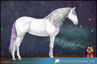 Horse Color:Watercolor Brown Onyx Splash Appaloosa