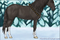 Horse Color:Smoky Black 