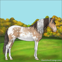 Horse Color:White Spotted Amber Champagne Tobiano