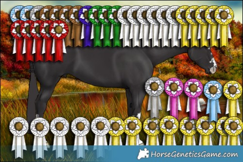 Horse Color:Smoky Black 