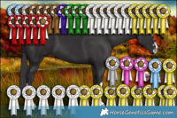 Horse Color:Smoky Black 