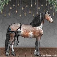 Horse Color:White Spotted Brown Ice