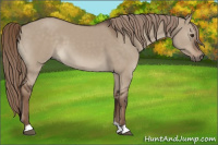 Horse Color:Liver Red Dun 