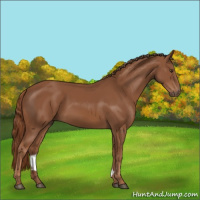 Horse Color:Chestnut Sabino