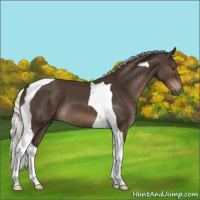 Horse Color:Liver Chestnut Mushroom Tobiano 