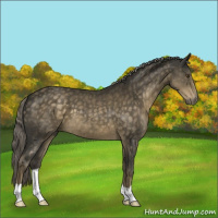 Horse Color:Chocolate Palomino Mushroom 
