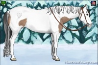 Horse Color:Buckskin Roan Splash Tobiano 