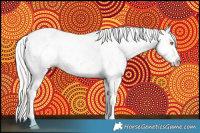 Horse Color:Silver Sable Champagne Dun Sabino Splash Rabicano 