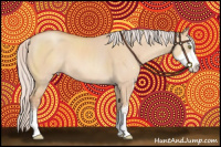 Horse Color:Silver Sable Champagne Dun Sabino Splash Rabicano 