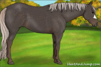 Horse Color:Silver Black 