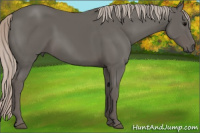 Horse Color:Silver Black 