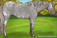Horse Color:Silver Blue Ice Roan