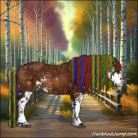 Horse Color:Painted Bay Ice Sabino Rabicano 