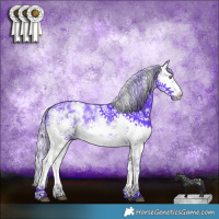Horse Color:Watercolor White Spotted Silver Brown Chinchilla Sabino Rabicano
