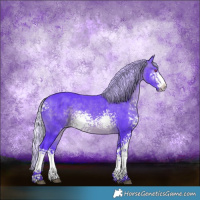 Horse Color:Watercolor White Spotted Silver Brown Chinchilla Sabino Rabicano 