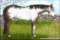 Horse Color:Liver Chestnut Frame 