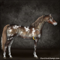 Horse Color:White Spotted Liver Red Onyx Ice