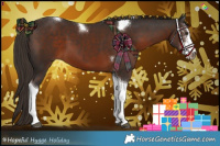 Horse Color:Liver Chestnut Sabino Tobiano 