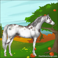 Horse Color:Chocolate Silver Blue Onyx Chinchilla Sabino 
